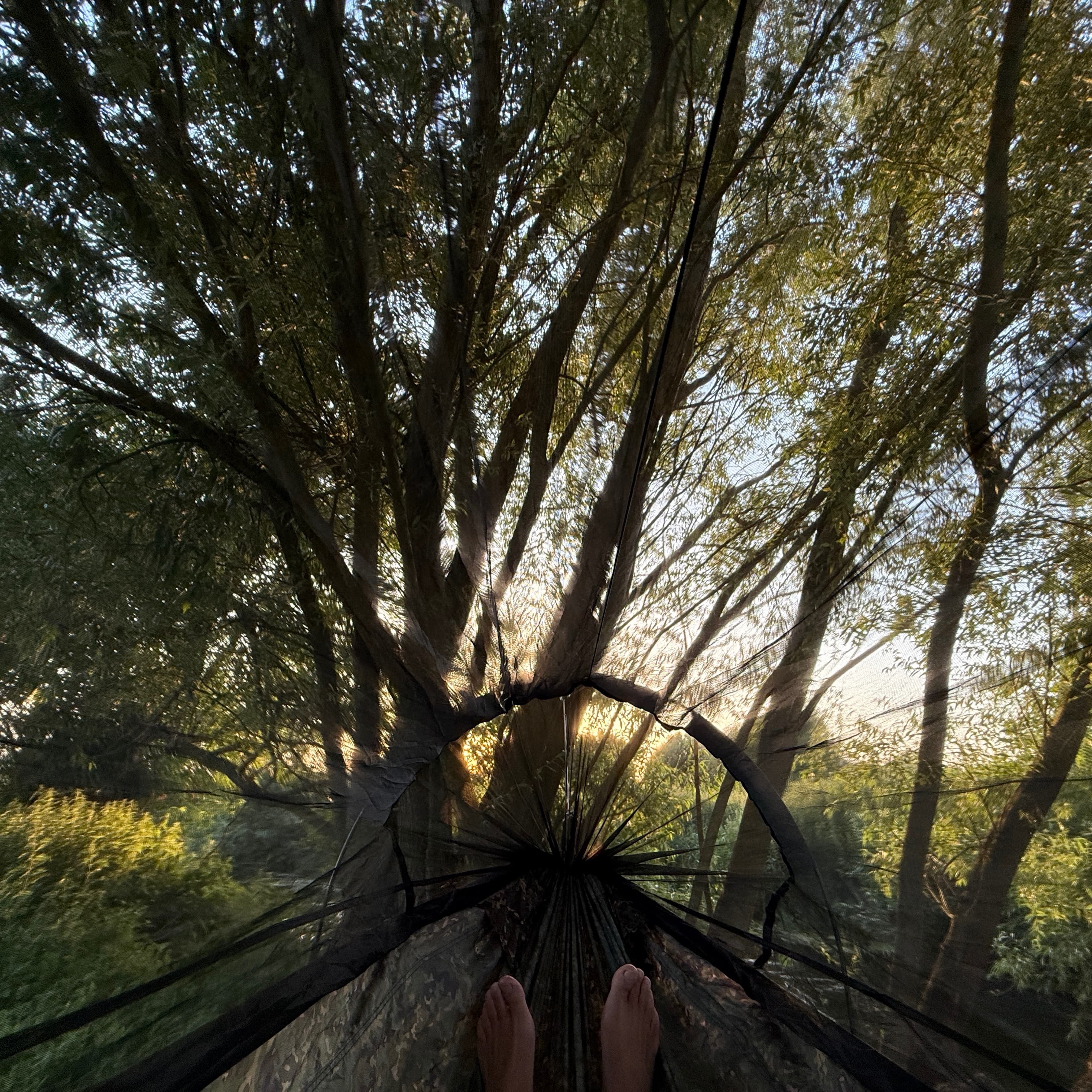 DD Frontline Hammock - KING Size - MC 2