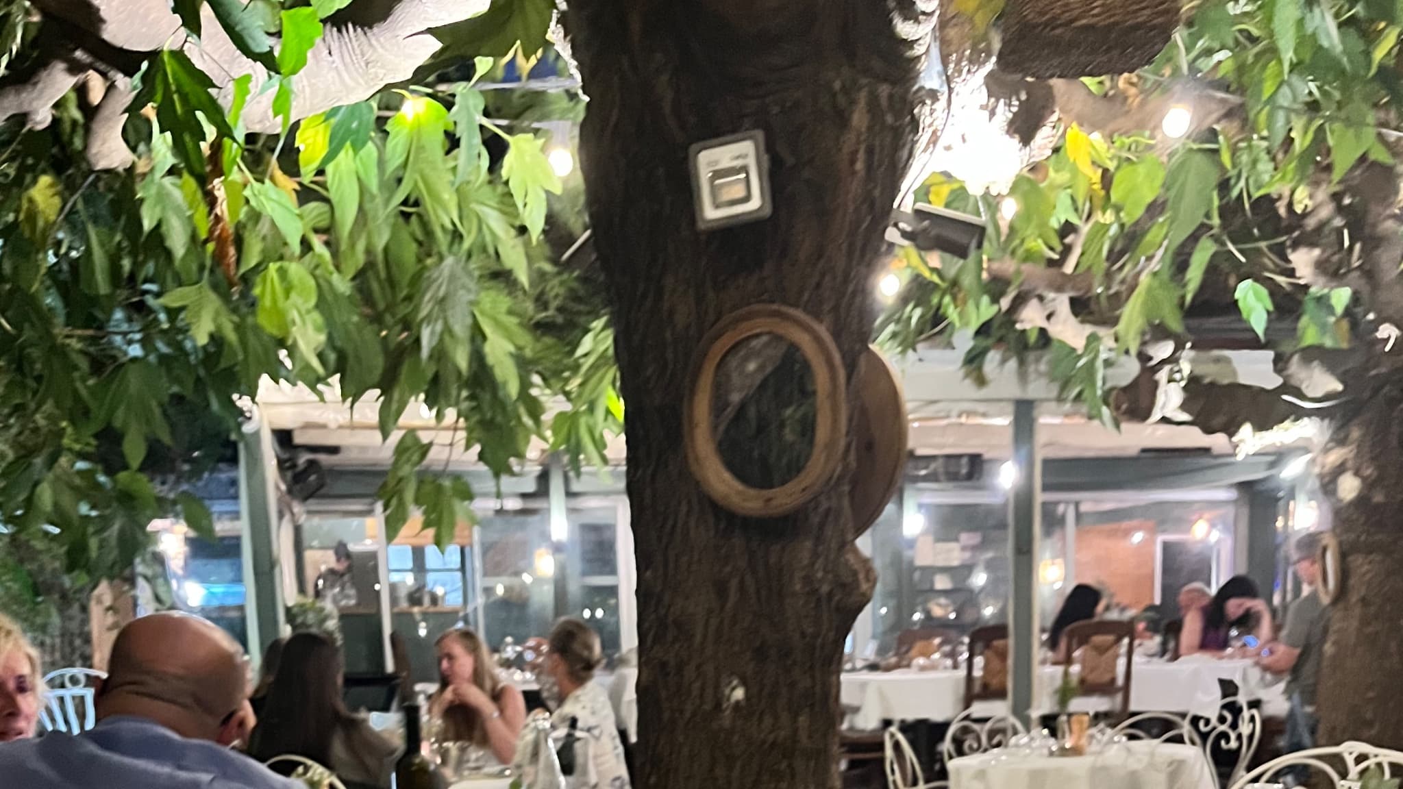 La Ramade - Restaurant with iconic garden tree dining