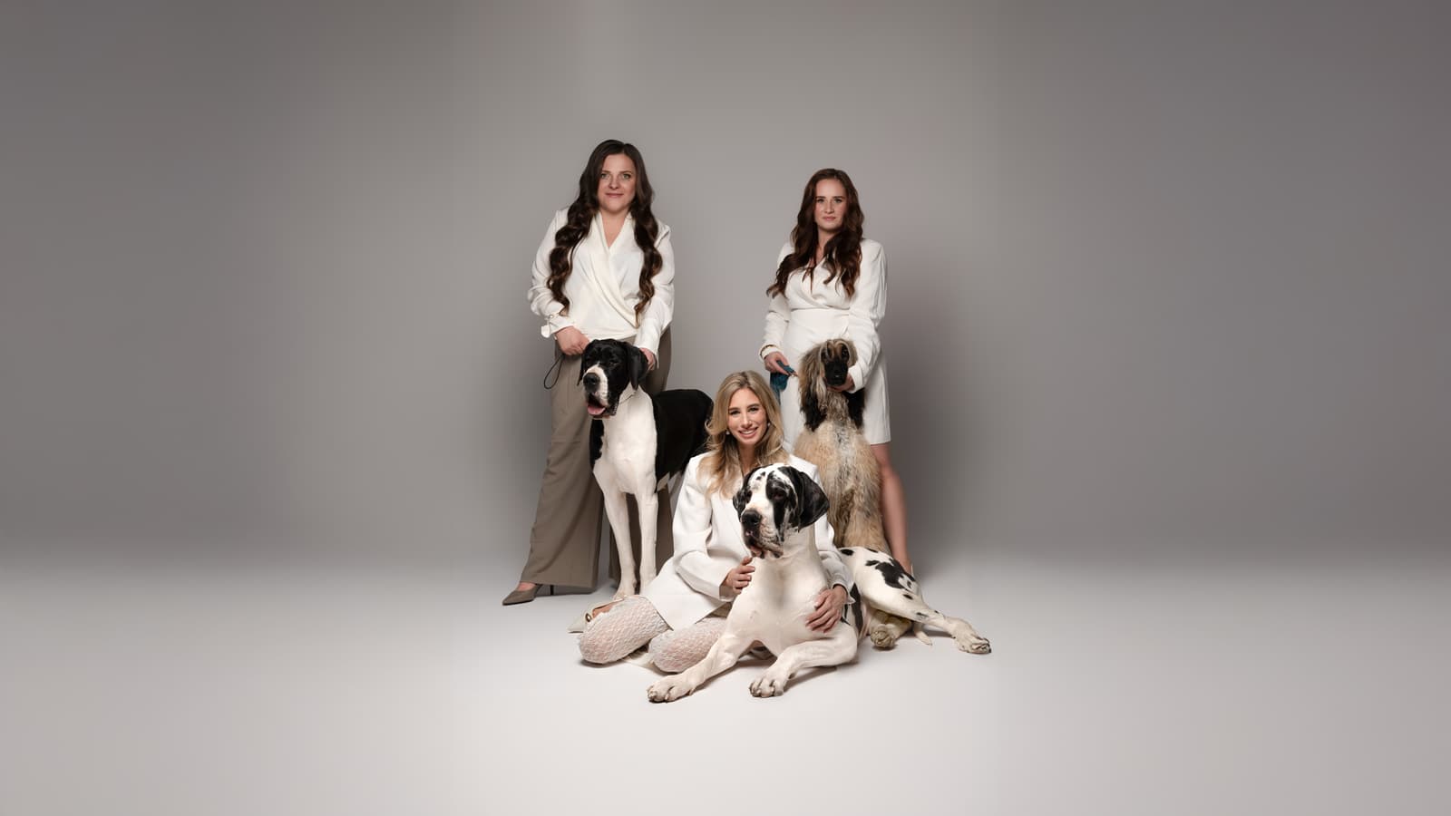 Le Chiem Dog Grooming